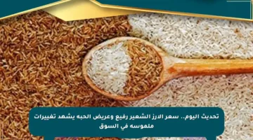 تحديث اليوم.. سعر الأرز الشعير رفيع وعريض الحبة يشهد تغييرات ملموسة في السوق